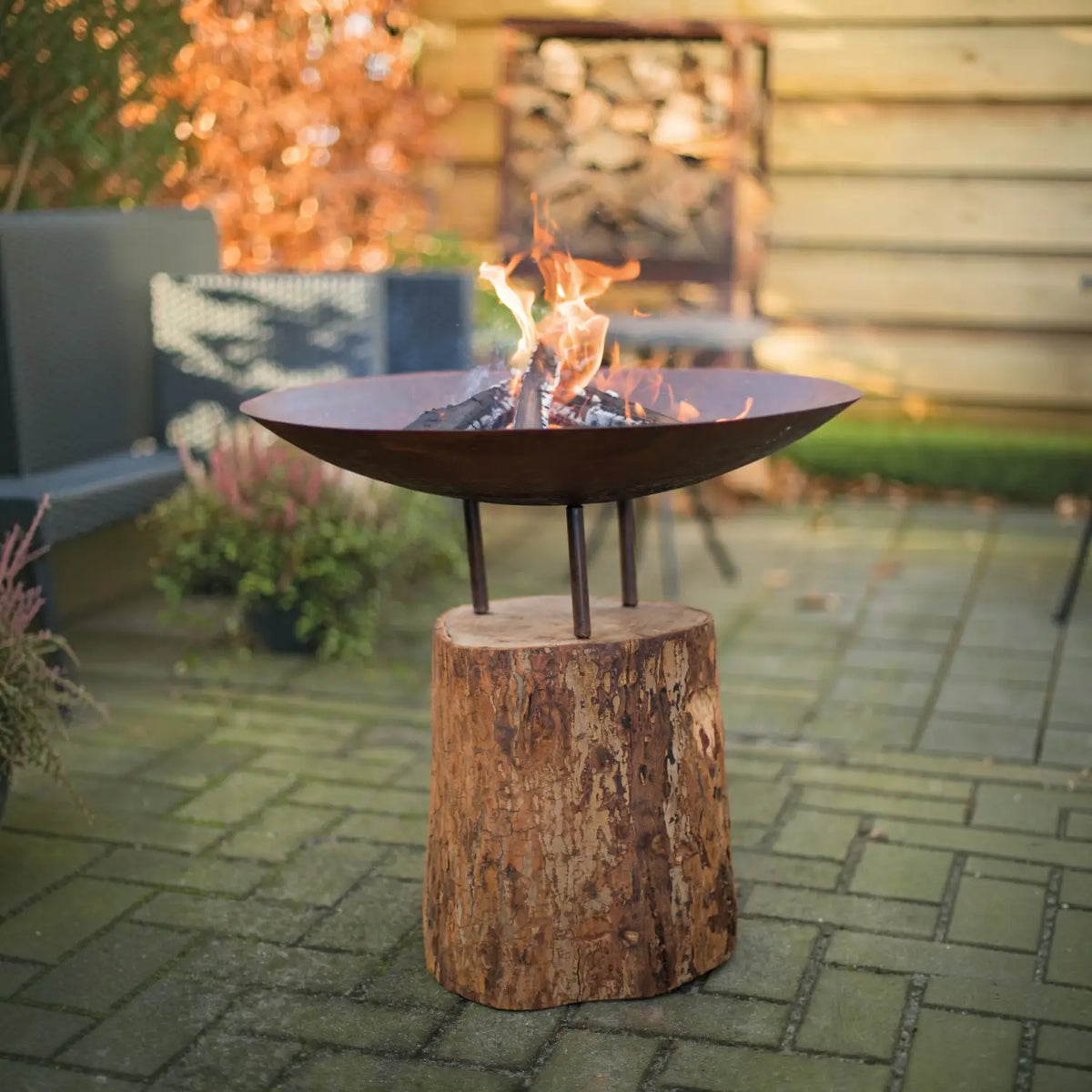 Corten stål fire pit på trästubbe