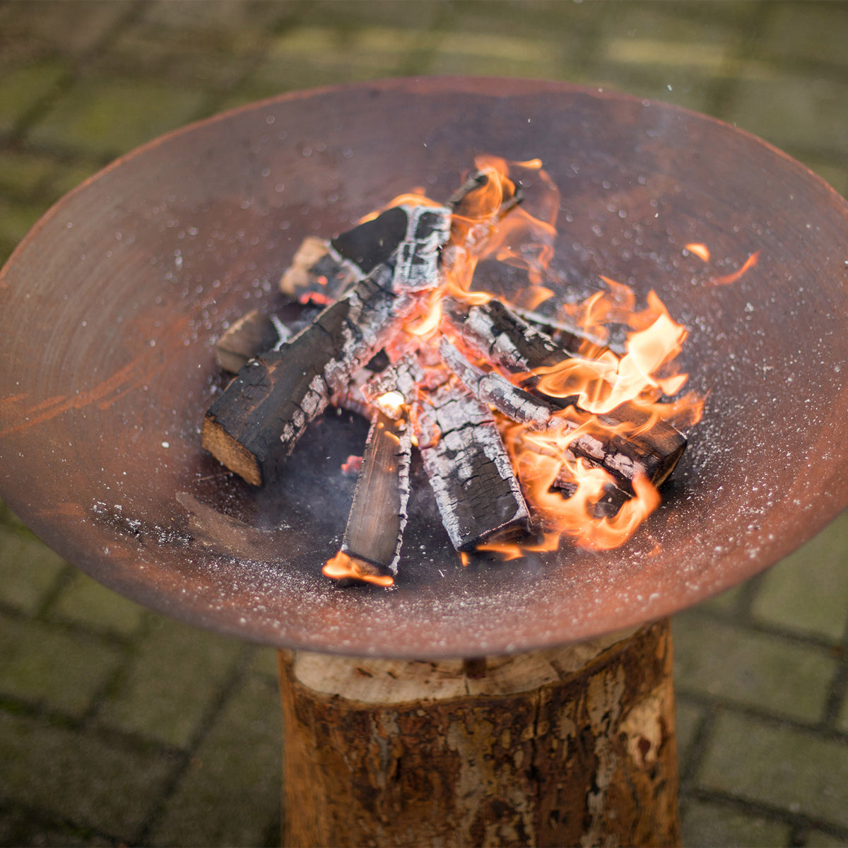 Corten stål fire pit på trästubbe